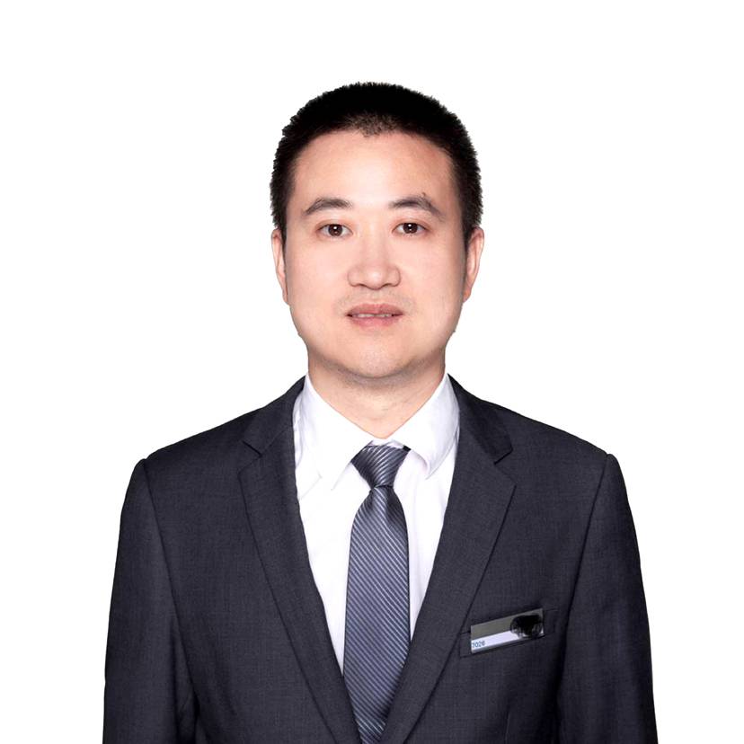 大海中一条条船的照片