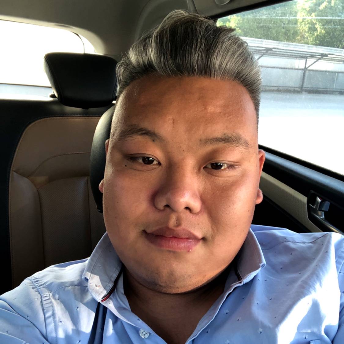 黄豆演变俭朴的照片