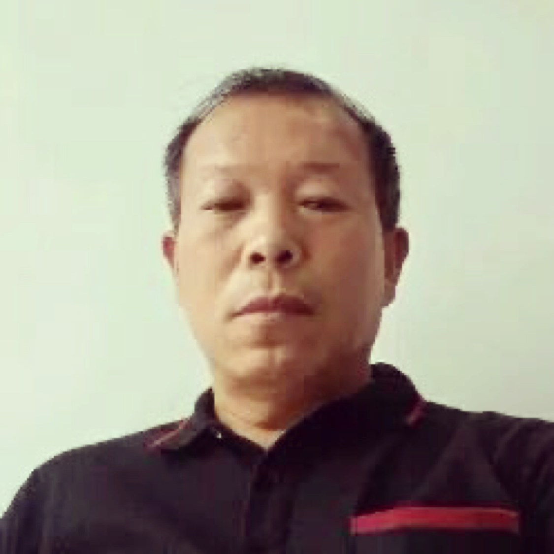 小熊猫动听的照片