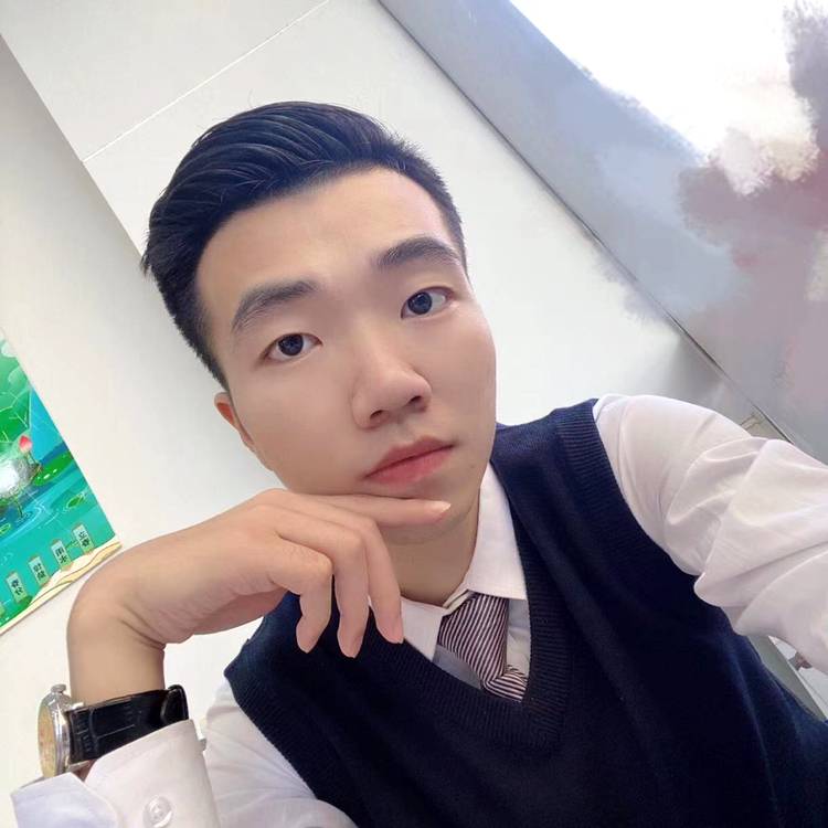 找只小猪猪的照片