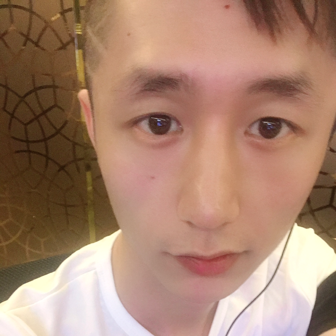 小兔子激情的照片