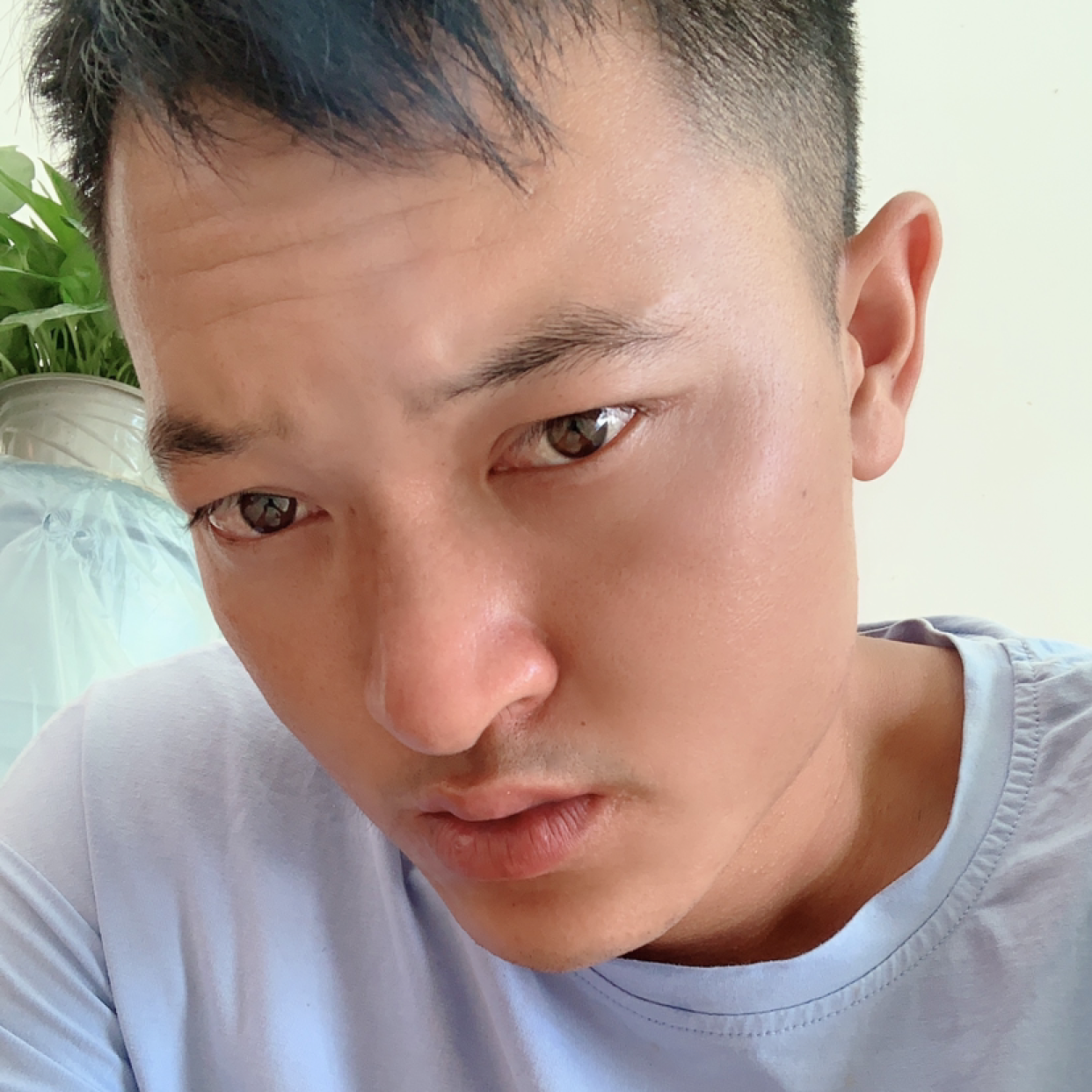 何。大帅的照片