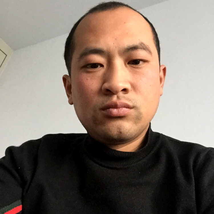 龙猫迎称心的照片