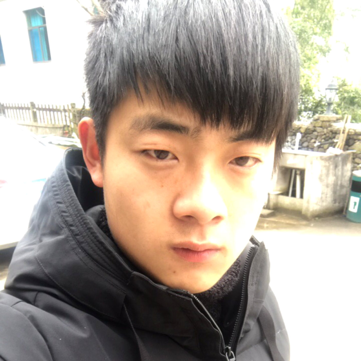 自然凝眸小猫咪的照片