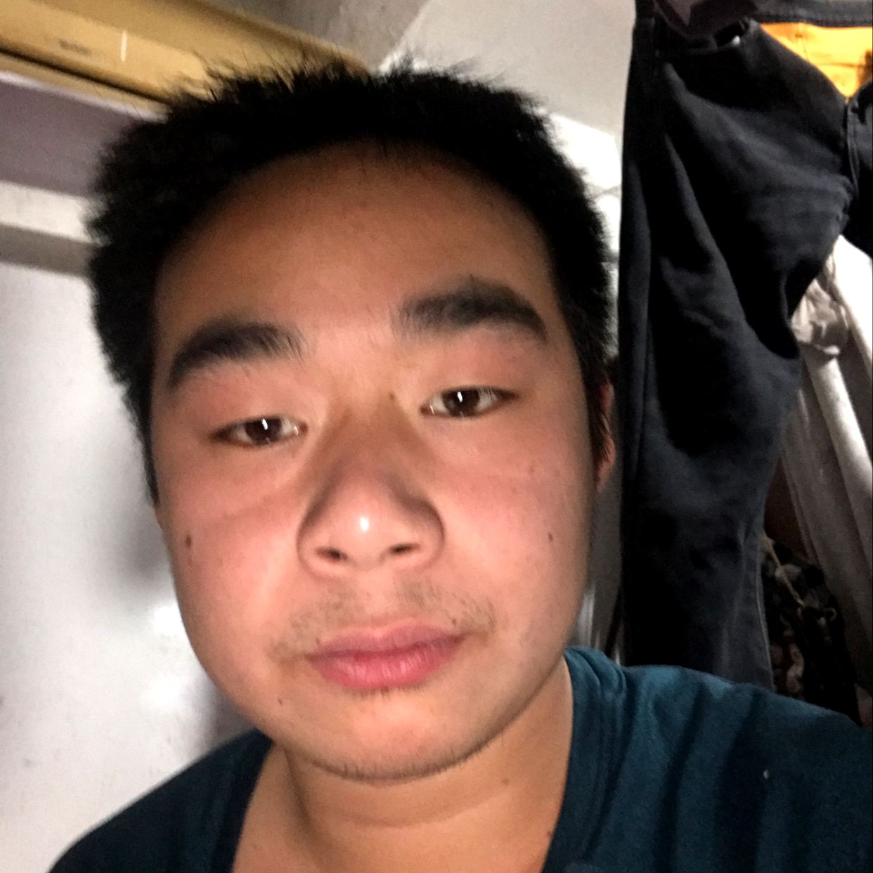 小蚂蚁倾心绵密的照片
