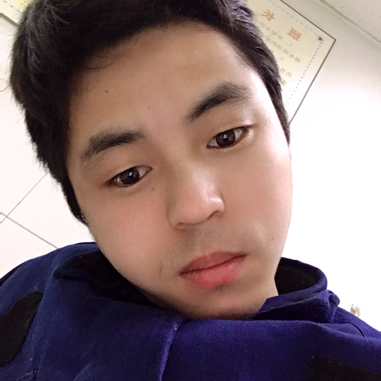 饱满月光的照片