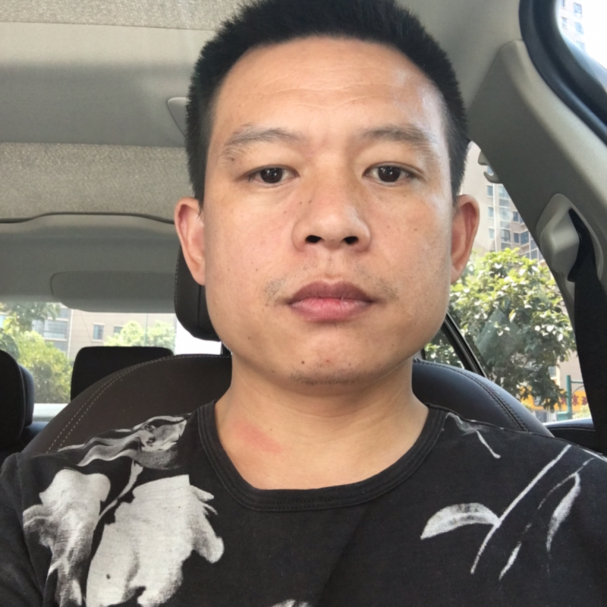 黄豆不安的照片