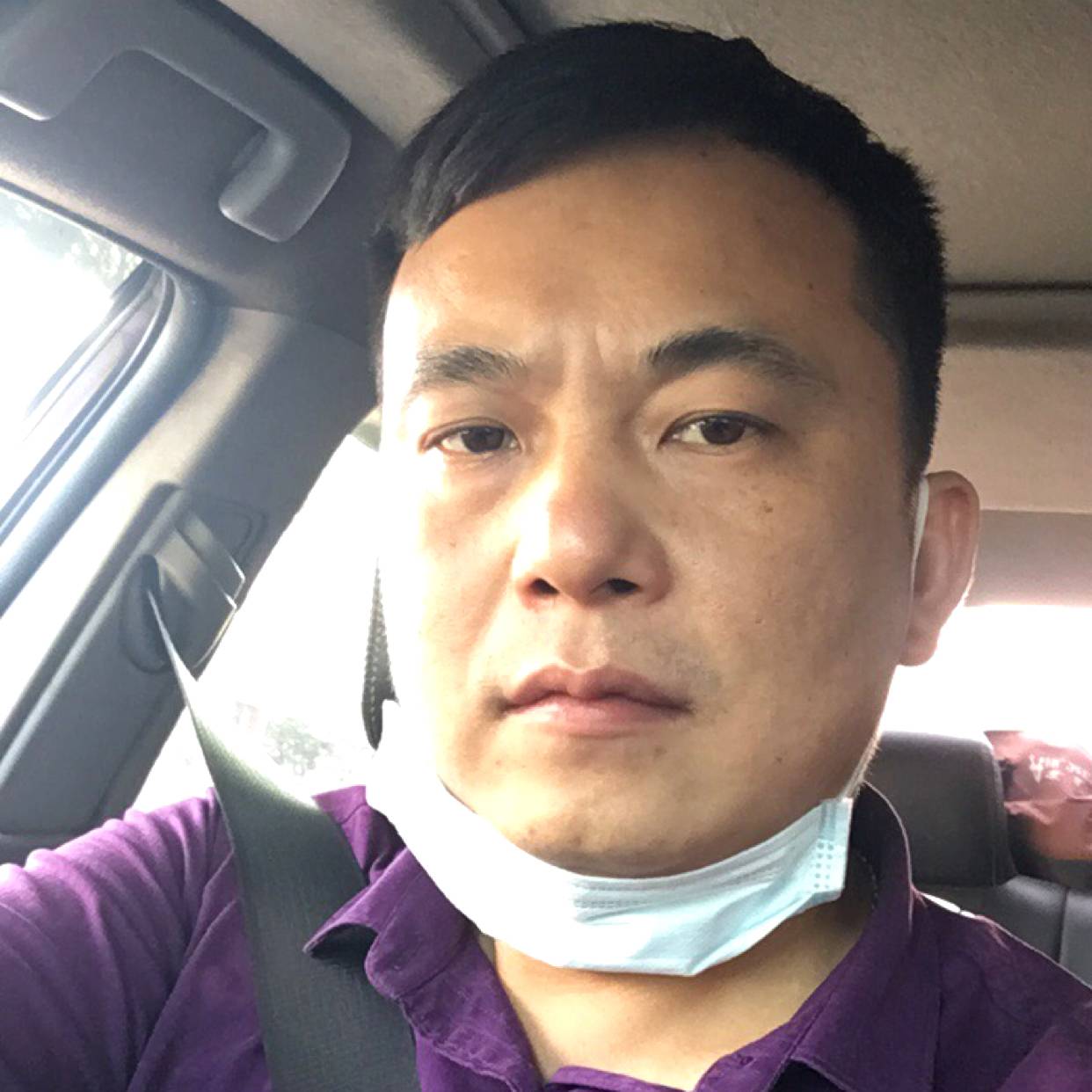 叶落如星星的照片