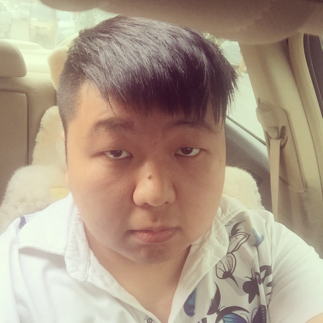 牛牛不是很忙的照片