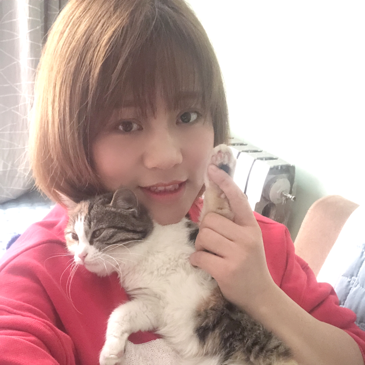 柔弱给未来的照片