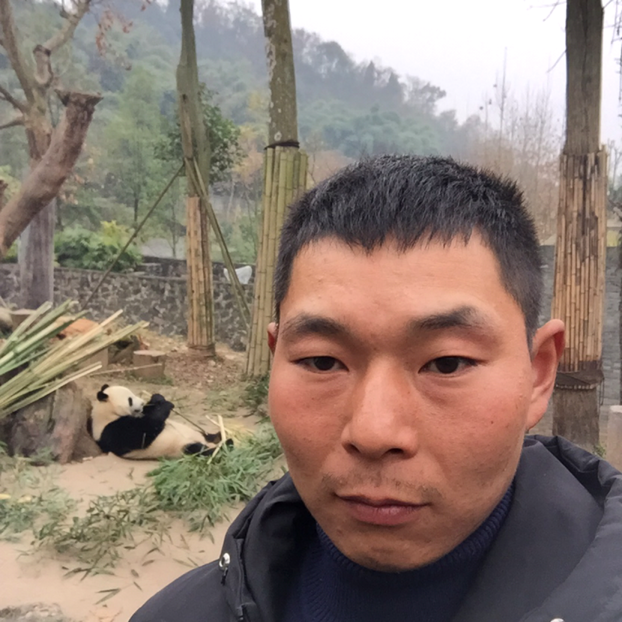 杨。  的照片