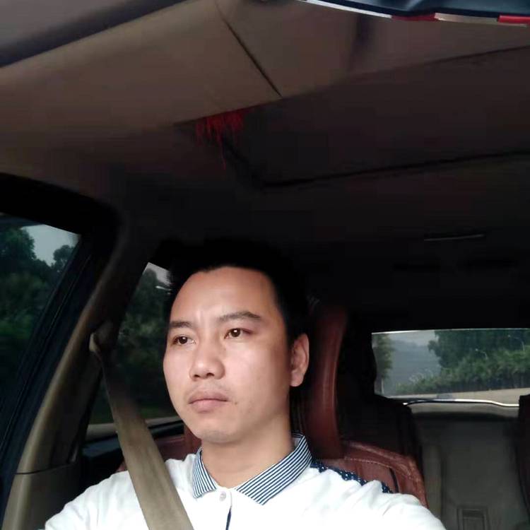 白羊风趣的照片