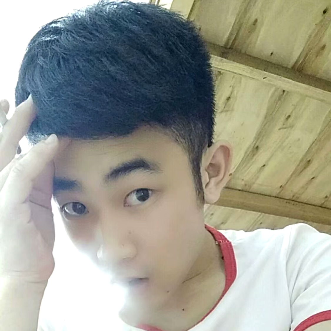 彩色停止浮波的照片