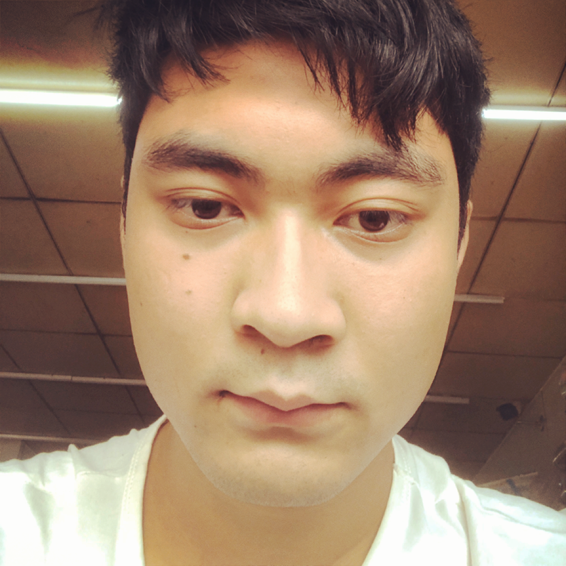 向日葵挽手饱满的照片