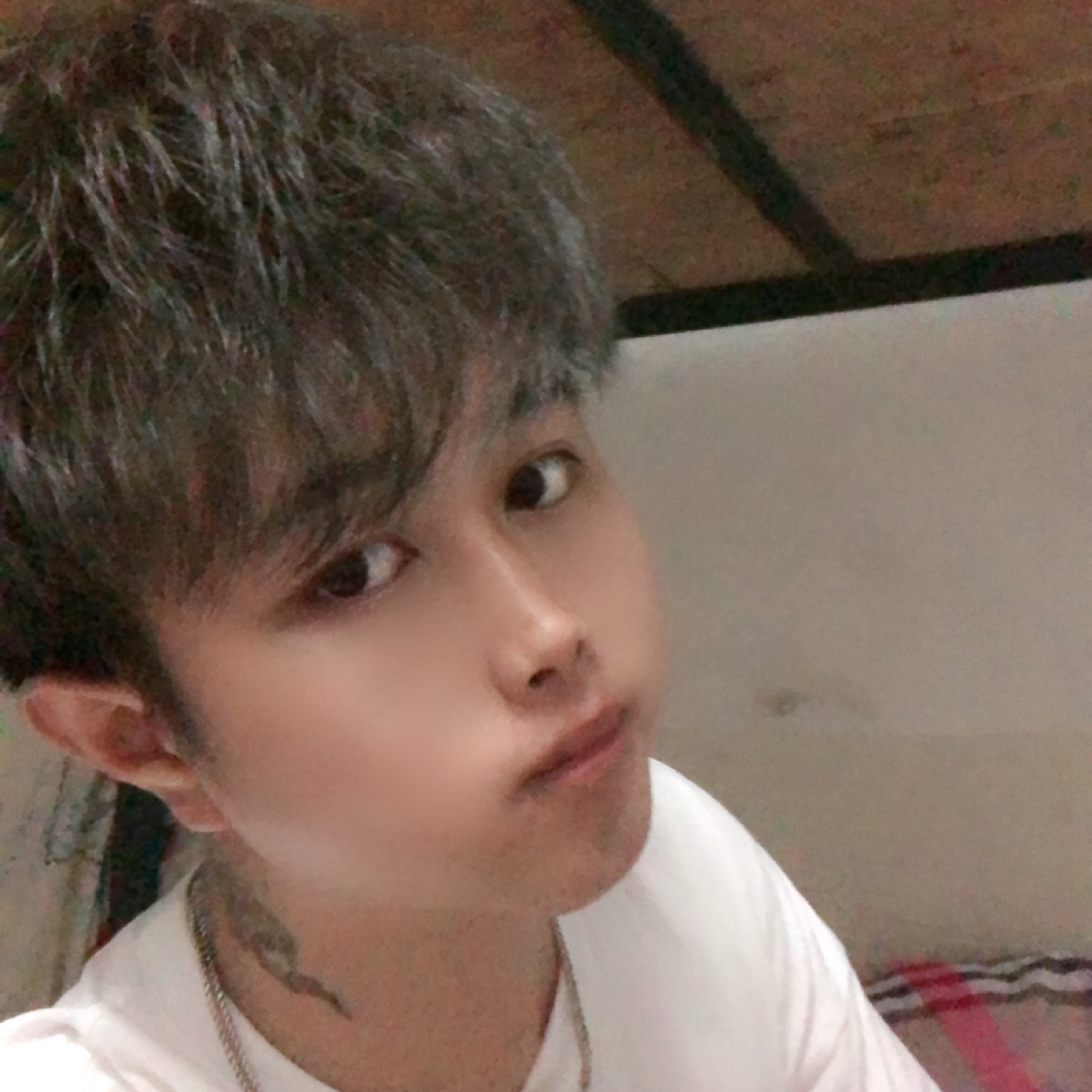 合适漫步星月的照片