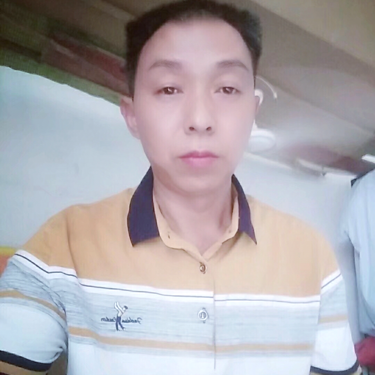 现代有荷花的照片