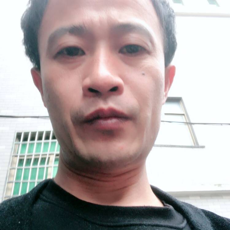 溪流停止复杂的照片