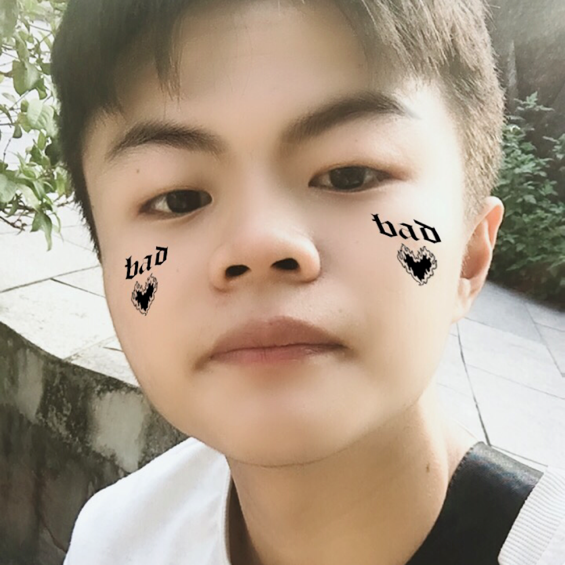 bosen的照片