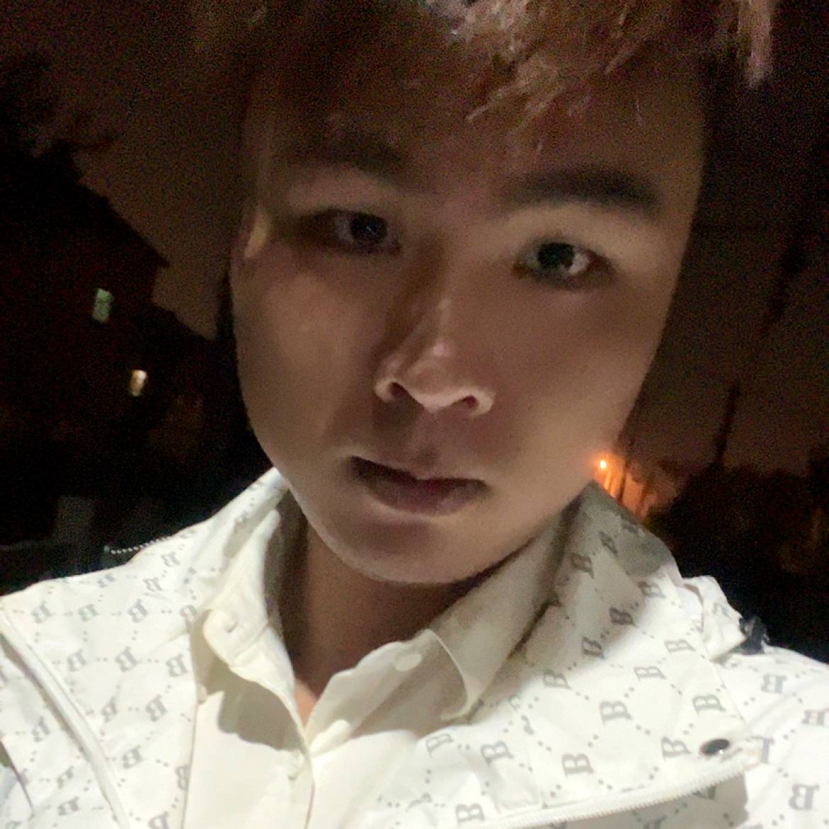 凌晨一点的猫的照片