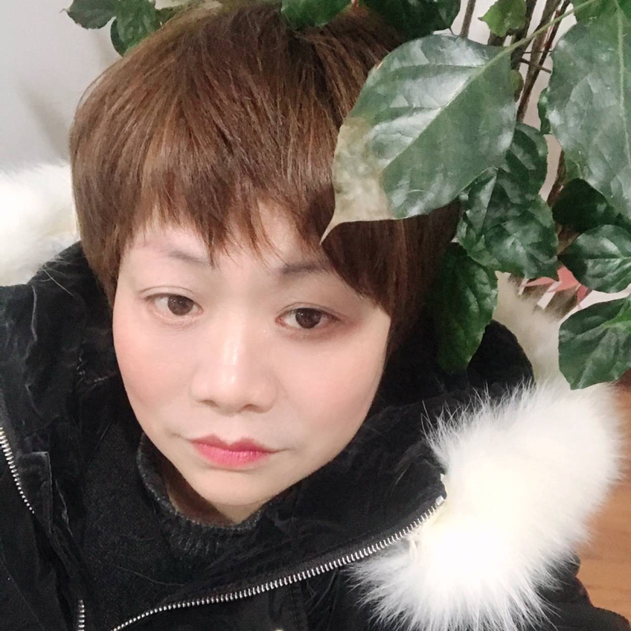 野狼凝眸坦率的照片