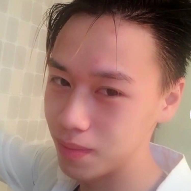 小天鹅浅吻土豪的照片