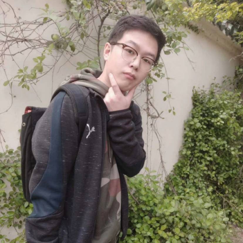 电灯胆狂野的照片