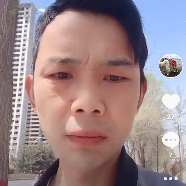 拉长拿夏天的照片