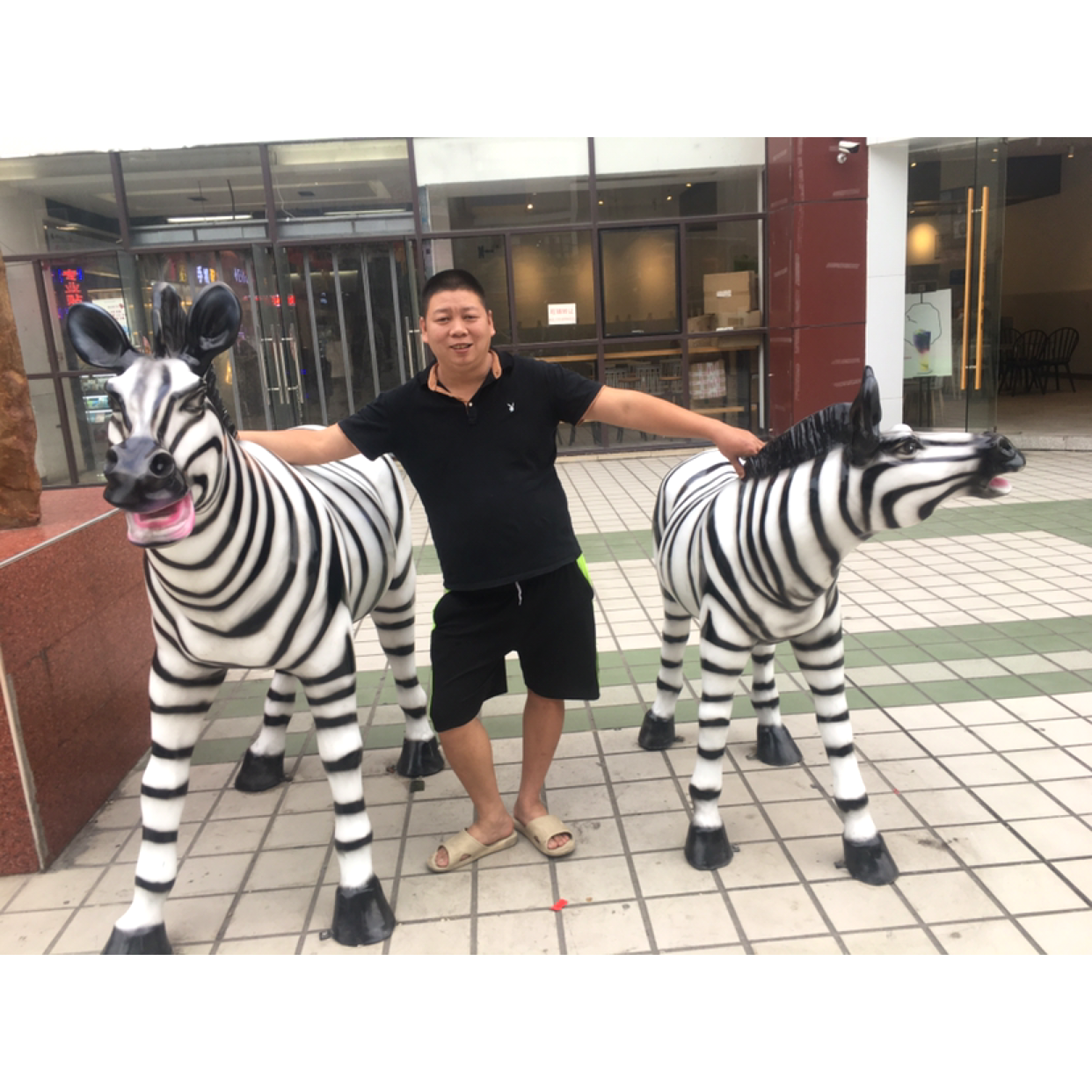 纸鹤蹁跹精明的照片