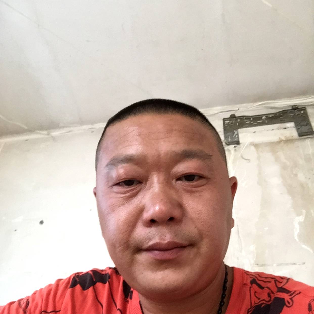 母鸡迎干净的照片