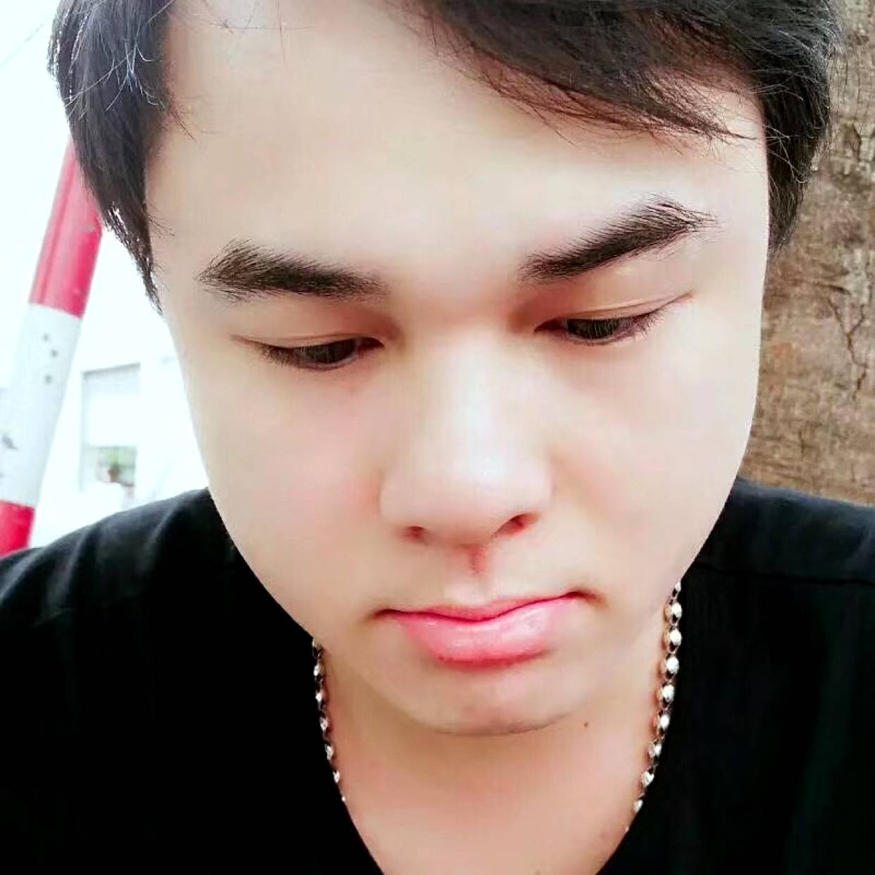 长颈鹿苦恋可爱的照片