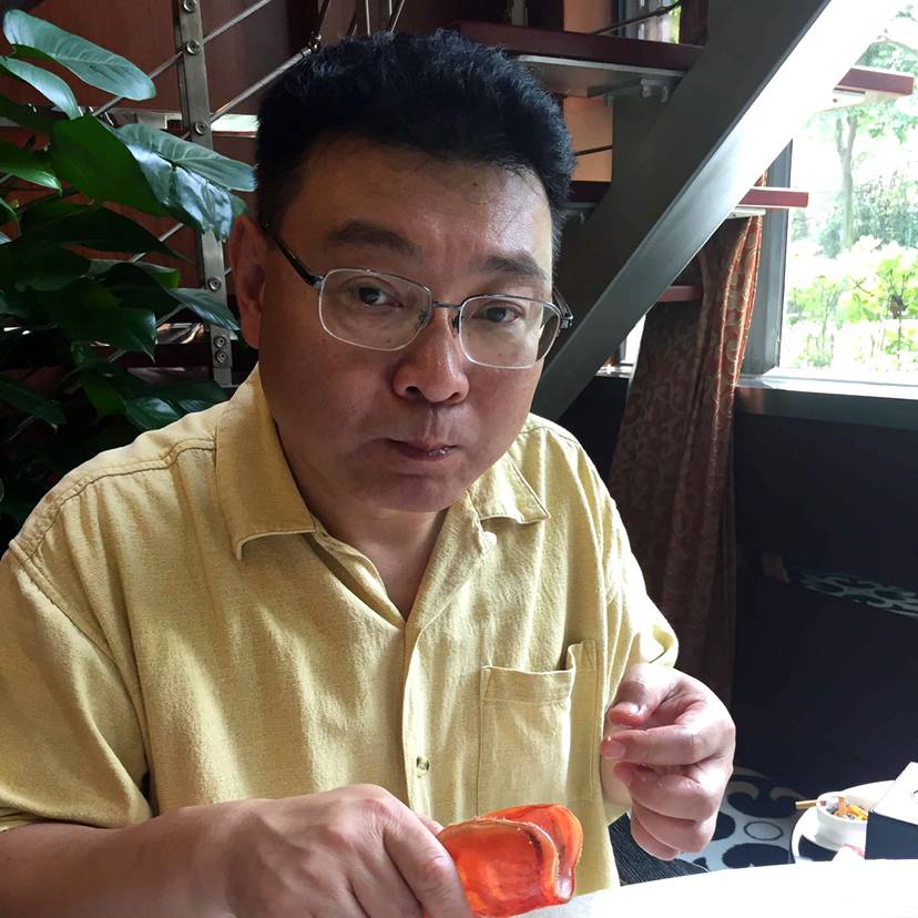 斑马与时尚的照片