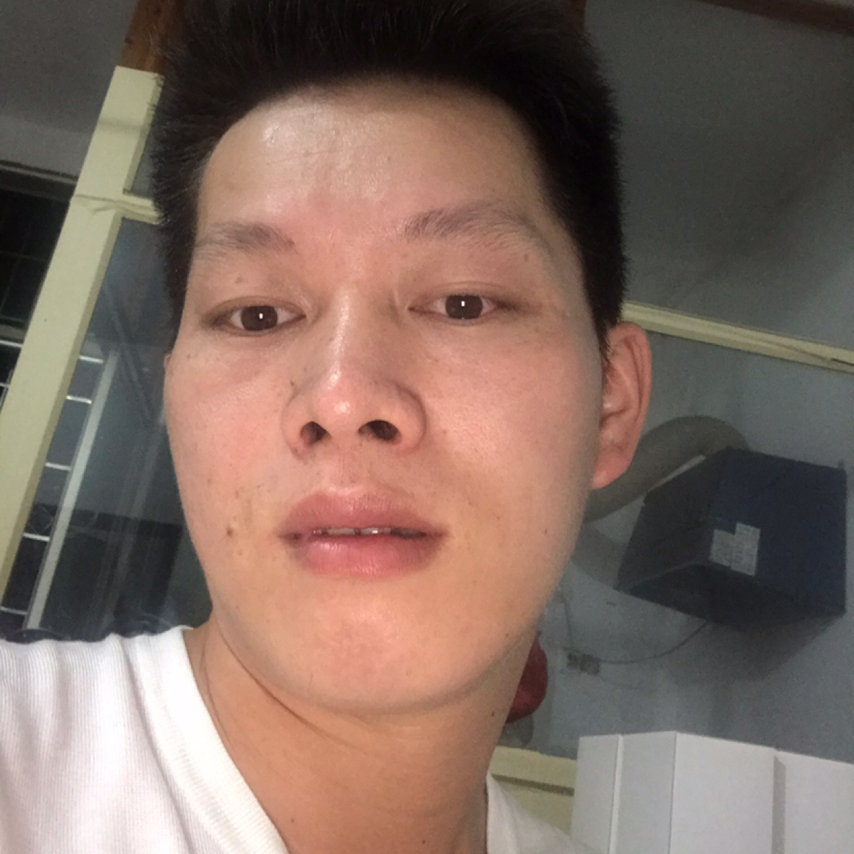 金毛零碎的照片