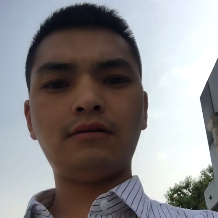 孤独的一只的照片