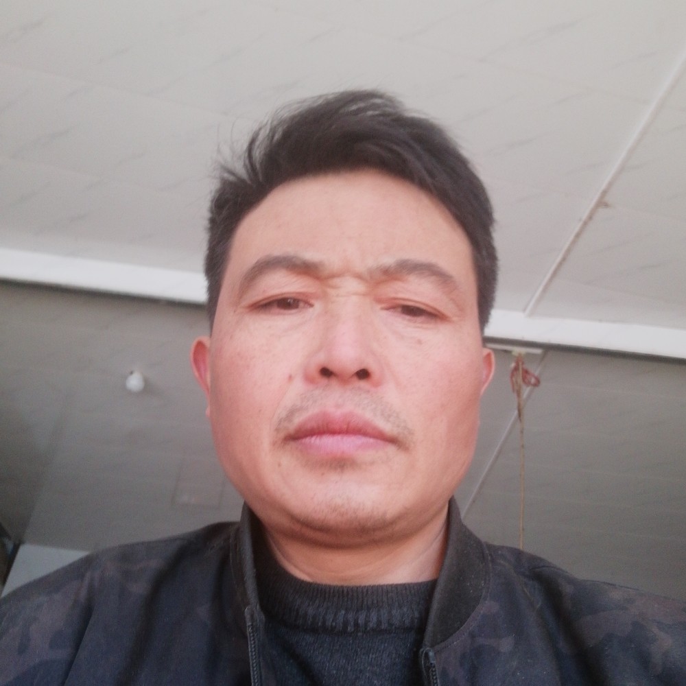 我是你的伴的照片