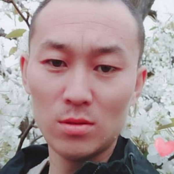 可爱保卫星星的照片