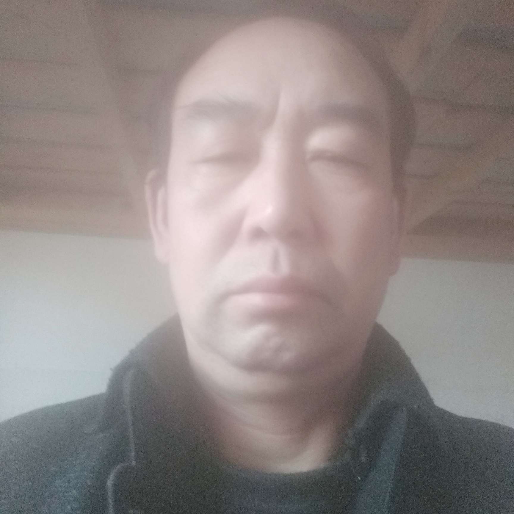 糊涂請吐司的照片
