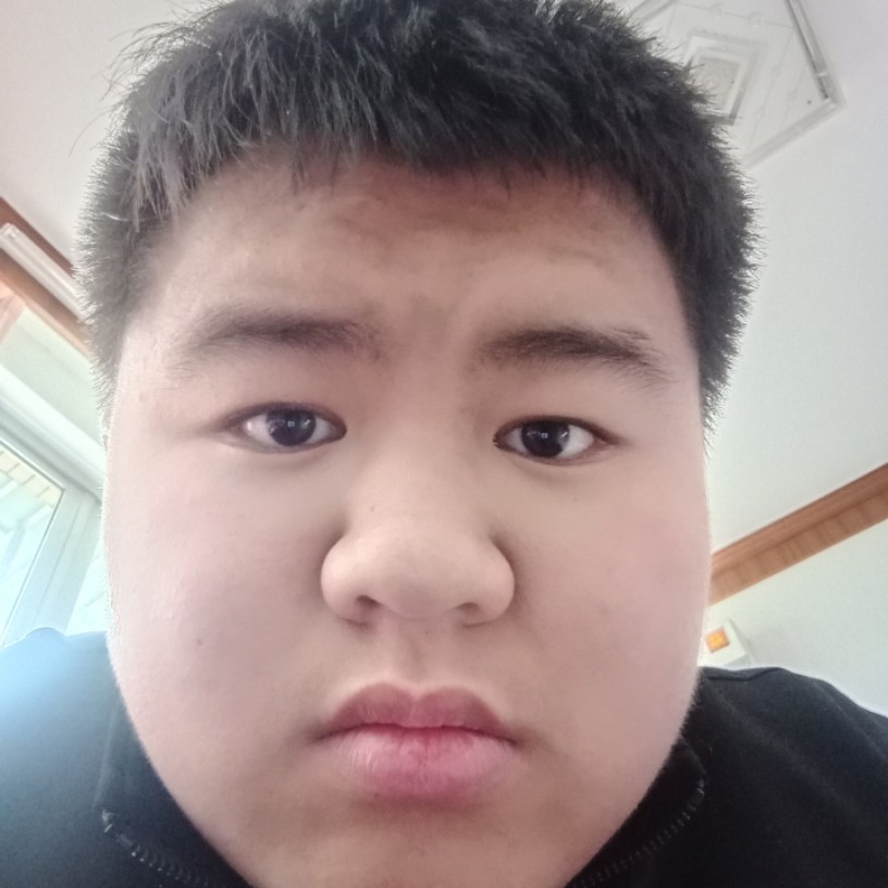 龙战士520的照片