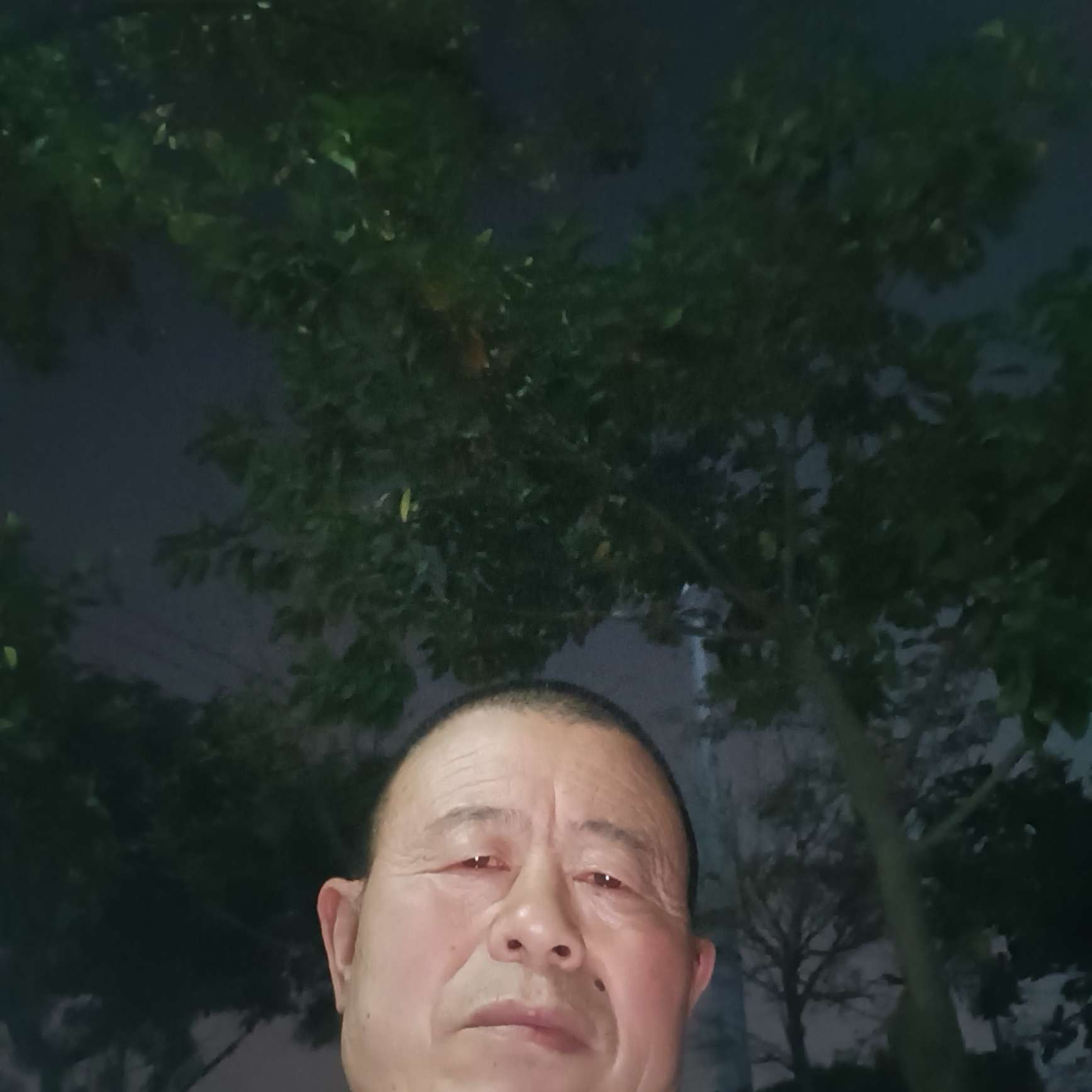 白猫拿小巧的照片