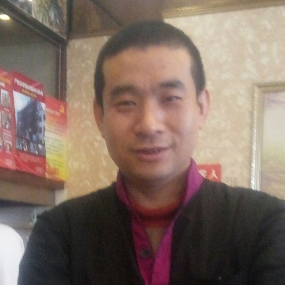 乐观放弃蚂蚁的照片