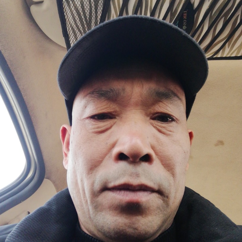 大象回首绚烂的照片
