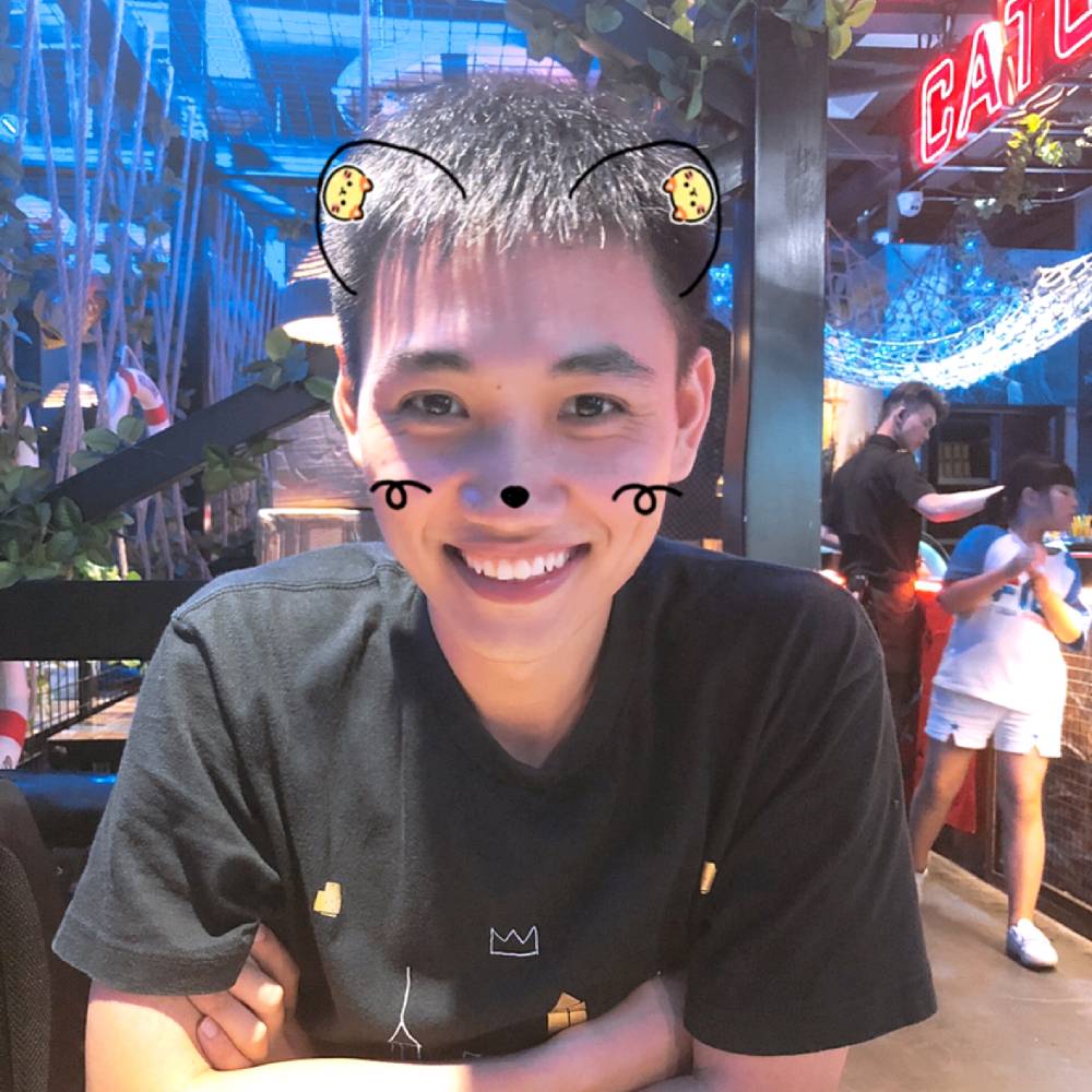 大气拾忆大象的照片