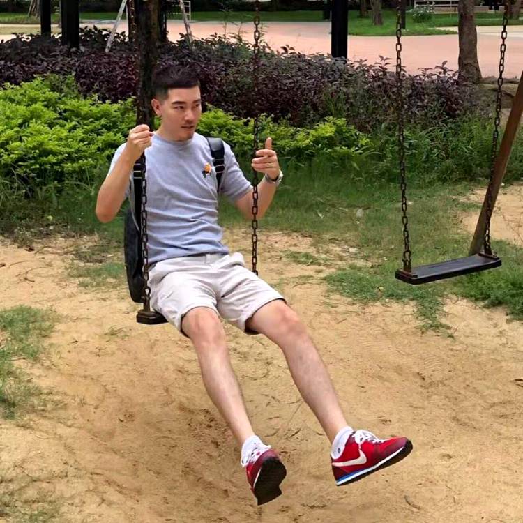 起风了嘛的照片
