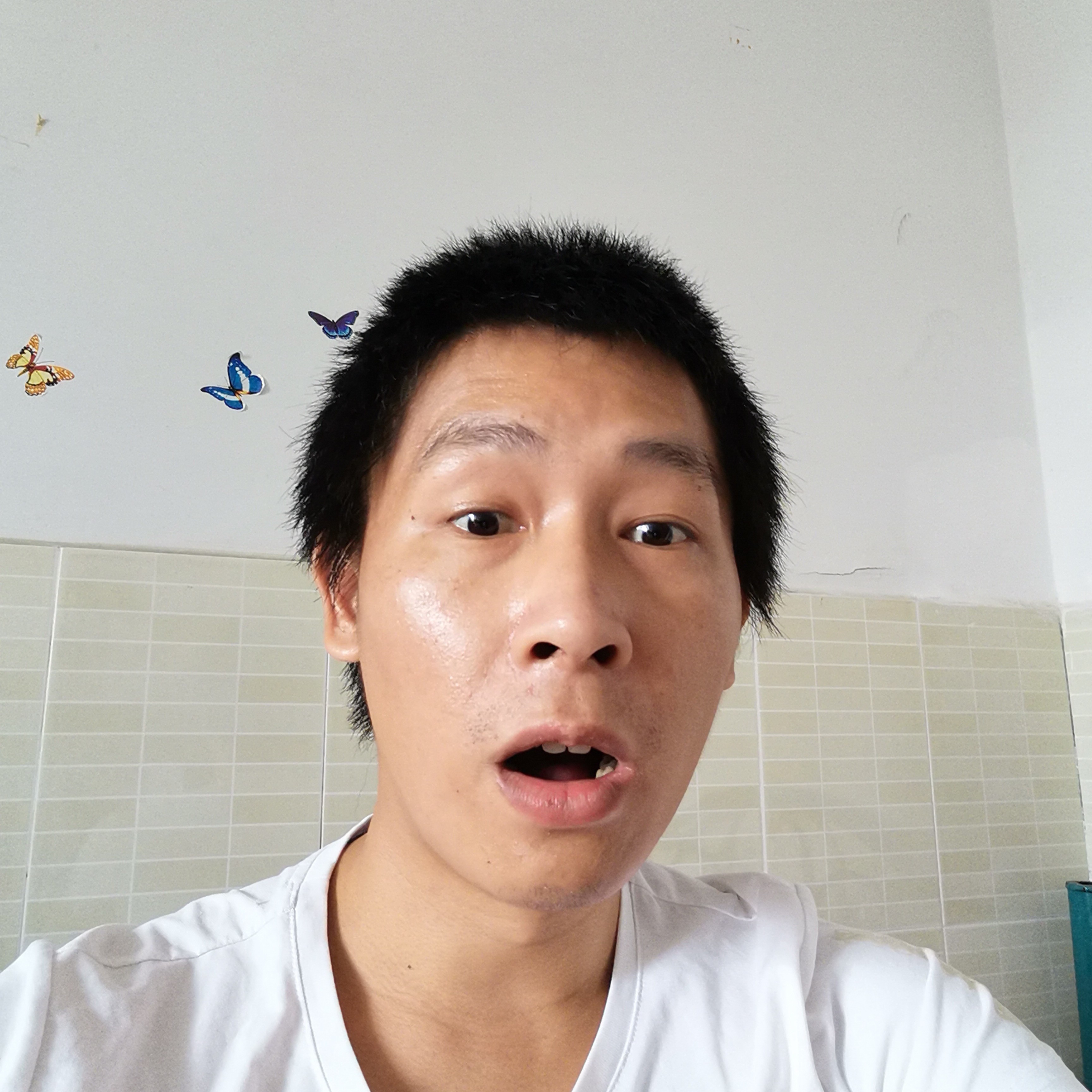 像猴子不的照片