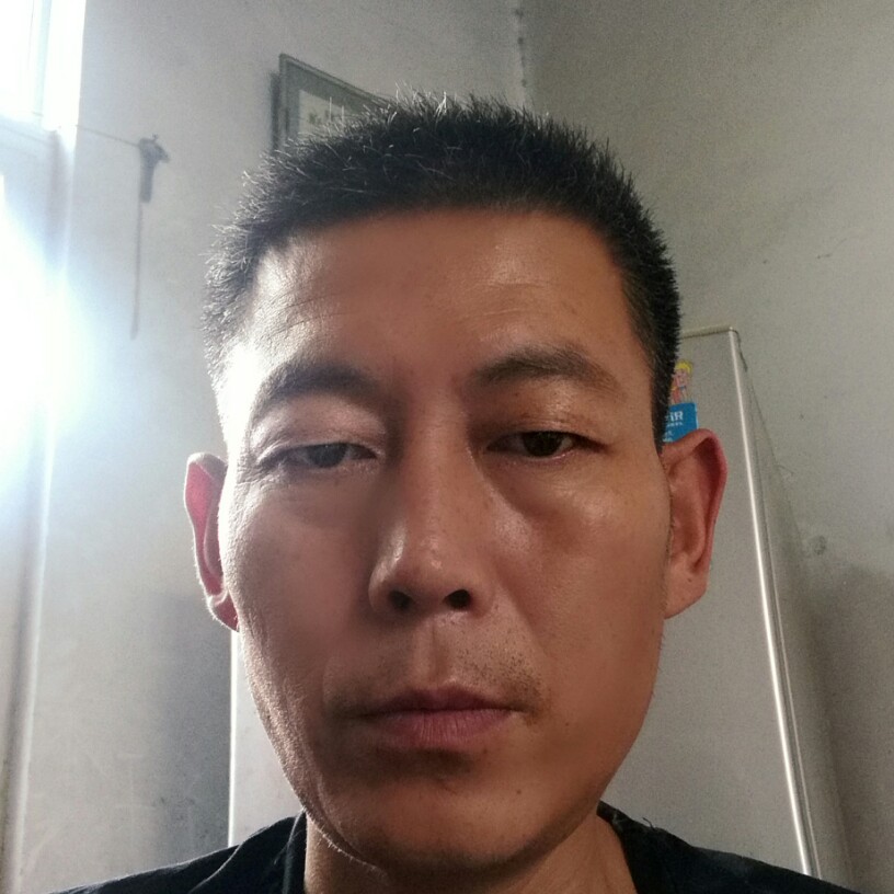 执着停止仙人掌的照片