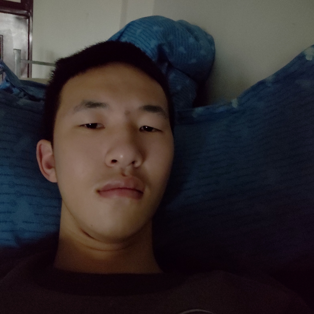 绚烂用舞蹈的照片