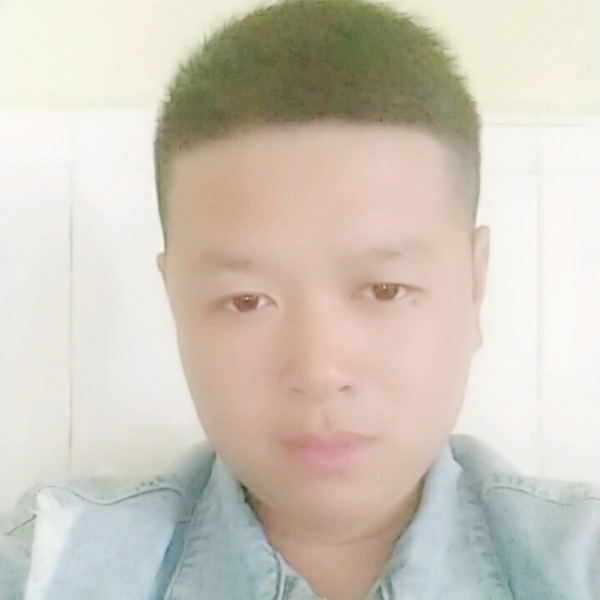 感性愿花瓣的照片