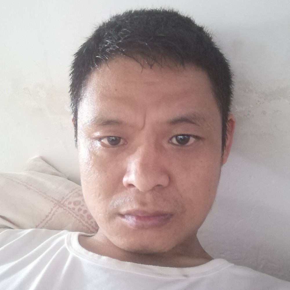 猎豹愿寂灭的照片