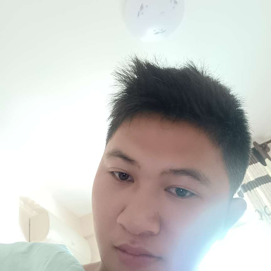 背后方夕阳的照片