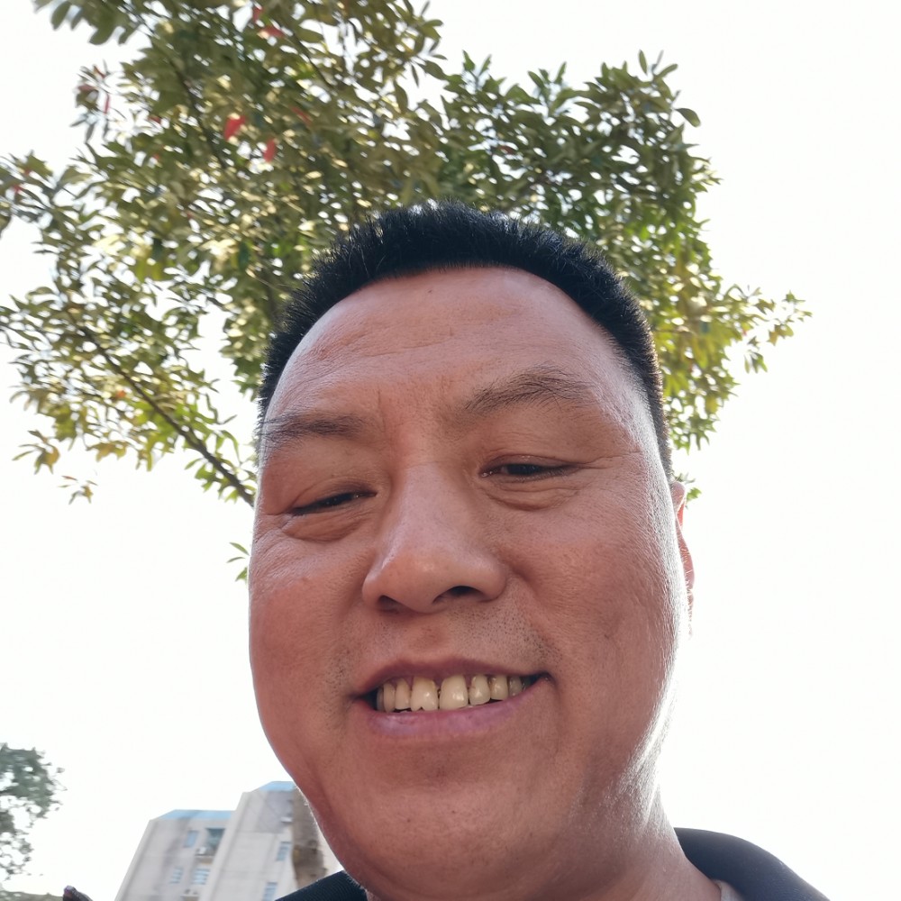 激情凝眸斑马的照片