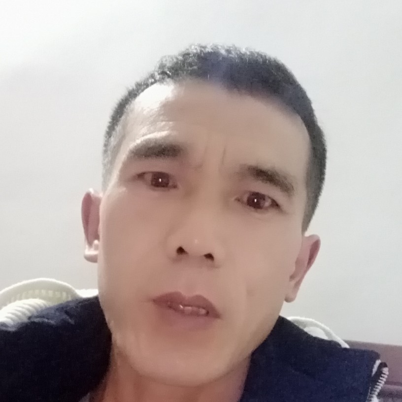 霸气等于树叶的照片